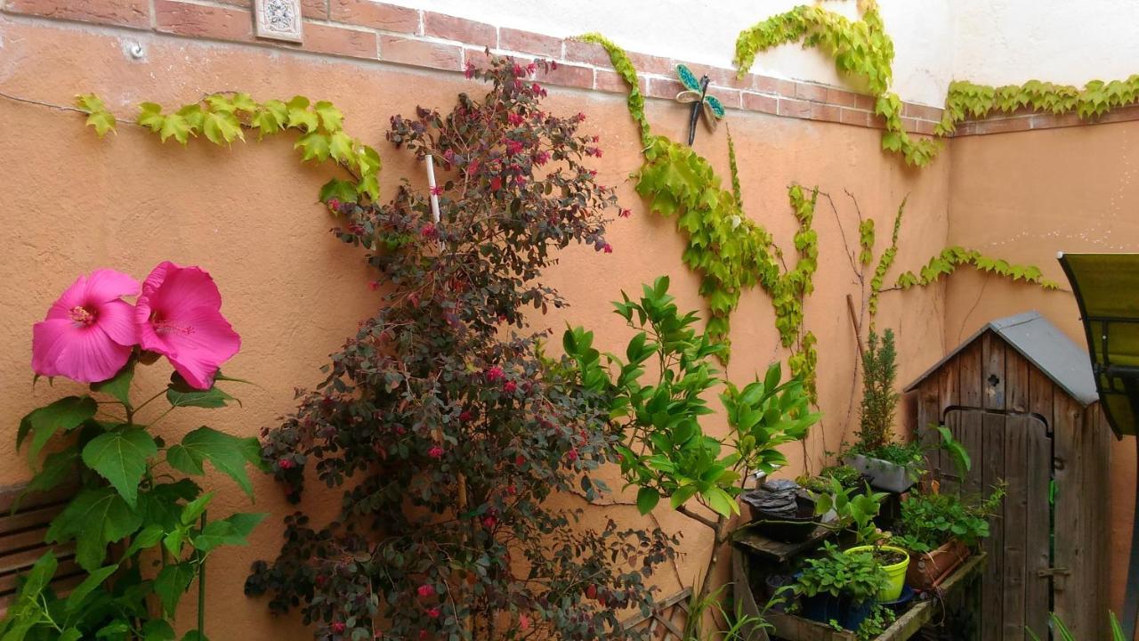Autan Des Couleurs Panzió Albi Kültér fotó